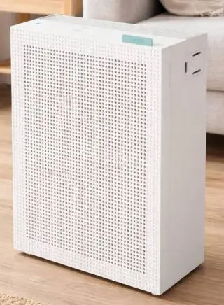 COWAY Airmega 150 AP 1024C