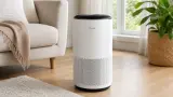 Wenn Pollen durchs Fenster kommen: Levoit Core 400S als smarter Luftreiniger im Angebotscheck