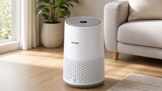 Wenig Platz, ruhige Nächte: Philips AC0650/10 hält sich klein und nimmt Pollen ernst