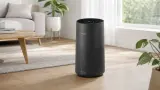 Wenn Pollen und Schlafzimmer zusammenkommen: Philips AC1715/11 hält Mittelmaß angenehm klein